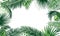Frame of tropical foliage. Border with palm branch, leaves, monstera, green exotic grass. Rainforest concept, banner. Floral