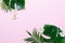 Frame of tropical leaves Monstera and palm on pink background a space for text. Top view, flat lay