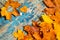 Frame from vivid colorful autumn leaves on the grunge wooden cyan desk