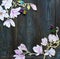 Frame watercolor magnolia flowers over dark rustic wooden background
