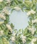 Frame of white elder flowers and green leaves on pale blue background. Circle with copy space made of seasonal summer branches.