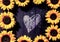 Frame of yellow sunflowers around a heart