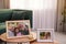 Framed family portraits in living room at home