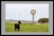 Framed Image Of Cattle Grazing Beside Old And New Wind Devices