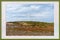 Framed Image Of A Wind Farm On Coastline Victoria Australia