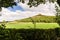 Framed Roseberry Topping