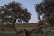 Framed rural landscape of Castro, Verde, in the Alentejo, Portugal