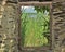 Framed view of a marsh