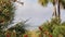 Framed view of palm trees and flowers with gulf coast in background