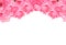 Framework of lovely pink roses on white background. Flower board for love, valentine, mother, women. Greeting theme with copy