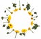 Framework from yellow flowers on white background. Flat lay composition