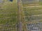 Frameworks of greenhouses, top view. Construction of greenhouses in the field. Agriculture, agrotechnics of closed ground