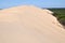 France, Aquitaine, Arcachon basin, dune cordon.