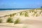 France, Aquitaine, Atlantic beach, dunes.