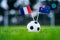 France - Australia, Group C, Saturday, 16. June, Football, World Cup, Russia 2018, National Flags on green grass, white football b