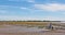 France Camargue horses and riders on the beach