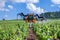 France Chablis 2019-06-21 front view of agriculture orange tractor cultivate field. Tractor with agricultural sprayer