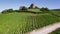 France, Champagne, regional park of Montagne de Reims, Aerial view of windmill of Verzenay,