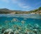 France coastline beach with fish underwater