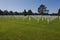 France Colleville-sur-Mer Crosses in American Cemetery  847506