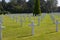 France Colleville-sur-Mer Crosses in American Cemetery  847511