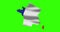 France country shape outline on green screen with national flag waving animation