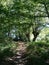 France, Creuse, Gargilesse. Forest path in spring surrounded by old trees.