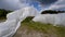 France, Gironde, April 2022, Fighting frost in the Bordeaux vineyards using geotextile fabric, The fight against the