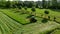 France, Gironde,May-30-2023, Aerial view of a tractor cutting tall grass to make fodder for animals