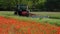 France, Gironde,May-30-2023, Aerial view of a tractor cutting tall grass to make fodder for animals