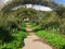 France Giverney Archways in Monet gardens  809236