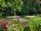 France Giverney water lily scene 809238