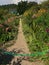 France Giverny Monet gardens and house  847418