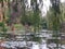 France, Loire Valley, Giverny, Claude Monet`s garden, Japanese bridge