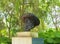 France, Normandy/Giverny: Claude Monet Sculpture