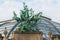 France. Paris. Sculptural group on the facade Grand Palace.