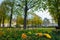 France. Paris. Tuileries gardens near the Louvre in autumn after