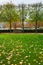 France. Paris. Tuileries gardens near the Louvre in autumn after