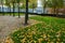 France. Paris. Tuileries gardens near the Louvre in autumn after