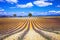 France. Provence - lavander fields