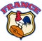 France rugby Rooster cockerel