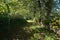 France rural footpath shaded by tree foliage