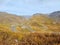 France Savoie Alps Col du Galibier autumn Road mountain flore