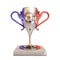 France soccer trophy