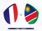 France vs Namibia rugby match, international rugby competition 2023