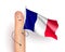 France waving flag