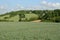 France, Yvelines landscape in Bazemont