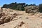 Franciscan Chert rock from the Age of Reptiles, Corona Heights Park San Francisco, 3.