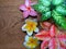 Frangipani flower and aglonema plants at wood background