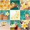 Frangipani flower collage, tropical resort concept